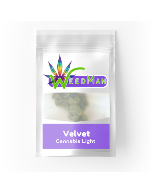 velvet cannabis light